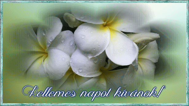 http://margit2.hu/animaciok/kellemes-napot-kivanok.gif