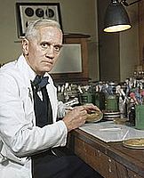 http://margit2.hu/forumba-alairasok/alexander-fleming.jpg