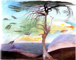 http://margit2.hu/forumba-alairasok/csontvary-maganyos-cedrus.jpg