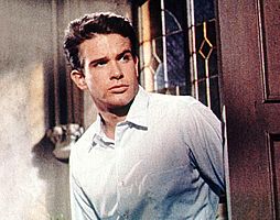 http://margit2.hu/forumba-alairasok/warren-beatty.jpg
