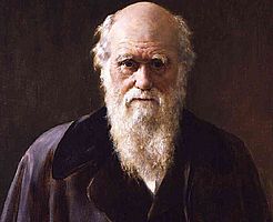 http://margit2.hu/forumba-kepek/charles-darwin3.jpg