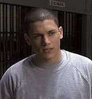 http://margit2.hu/forumba-kepek2/wentworth-miller.jpg