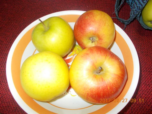 http://margit2.hu/fotoalbum6/golden-jonagold-alma-2017.02.27.jpg