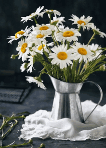 https://margit2.hu/animaciok/kvfozoben-kamillavirag.gif