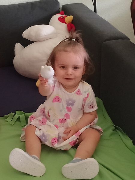 https://margit2.hu/forumba-csaladi-kepek/2026-tol/4-h-kutyat-mutatja-20260808.jpg