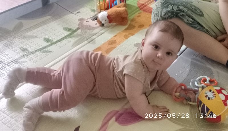https://margit2.hu/forumba-csaladi-kepek/h-labdaval2-20250528.jpg