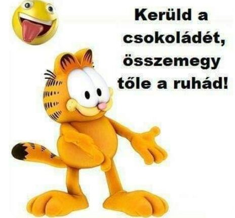 https://margit2.hu/forumba-humoros-kepek/keruld-a-csokoladet.jpg