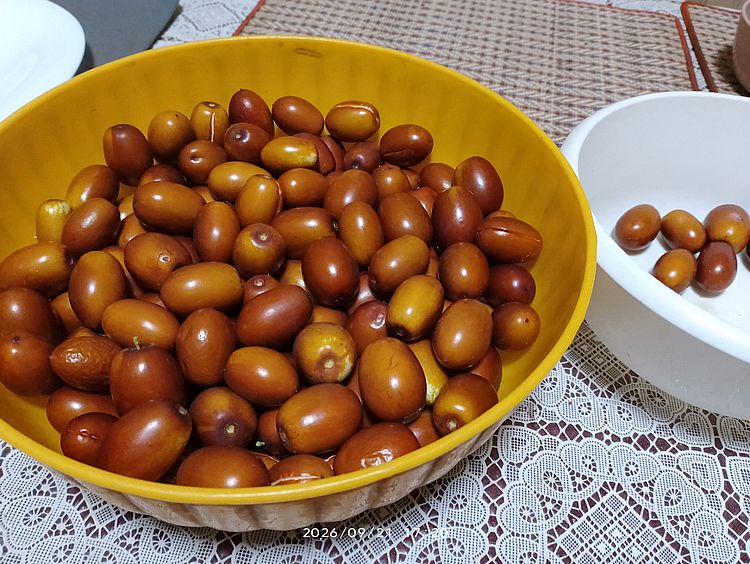 https://margit2.hu/forumba-kepek-2026-tol/jujuba-20260921.jpg