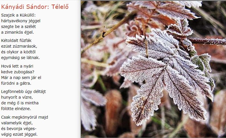 https://margit2.hu/forumba-kepek/128-kanyadi-sandor-telelo.jpg