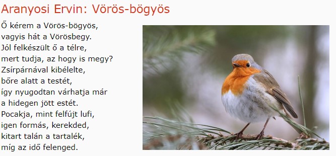 https://margit2.hu/forumba-kepek/147-aranyosi-e-voros-bogyos.jpg