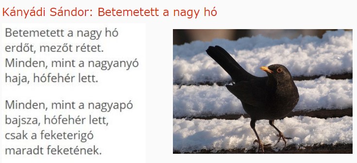 https://margit2.hu/forumba-kepek/150-kanyadi-sandor-ho.jpg