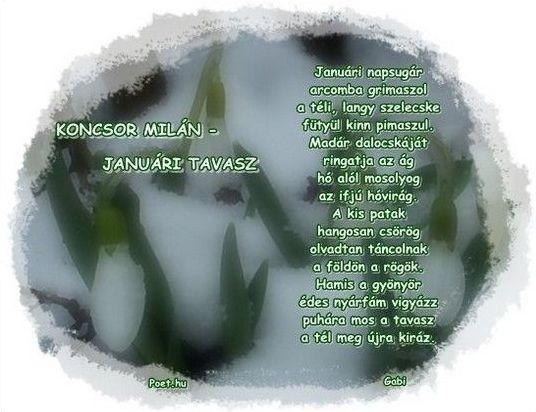 https://margit2.hu/forumba-kepek/152-koncsor-milan-januaritavasz.jpg