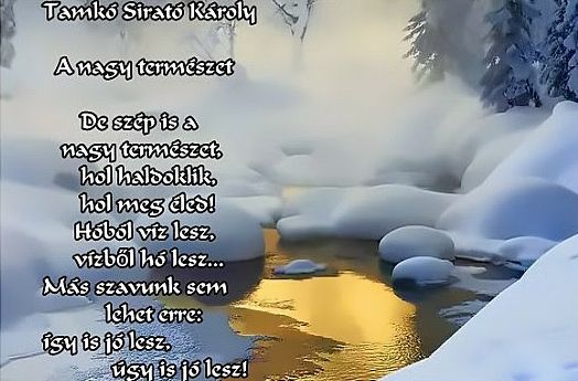 https://margit2.hu/forumba-kepek/153-tamko-sirato-karoly-anagytermeszet.jpg