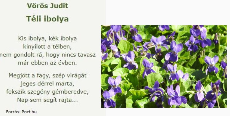 https://margit2.hu/forumba-kepek/154-voros-judit-teliibolya.jpg