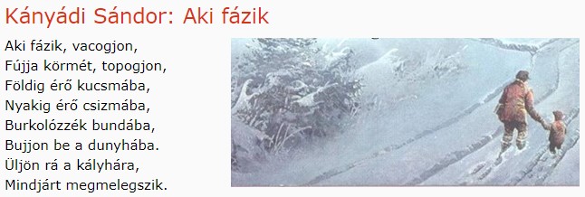 https://margit2.hu/forumba-kepek/155-kanyadi-sandor-akifazik.jpg