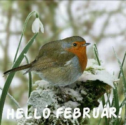 https://margit2.hu/forumba-kepek/159-februar.jpg