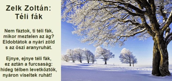 https://margit2.hu/forumba-kepek/160-zelk-zoltan-telifak.jpg