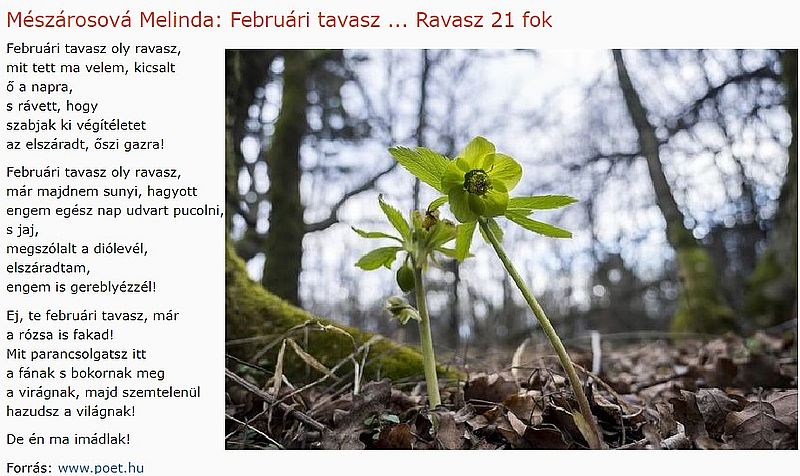 https://margit2.hu/forumba-kepek/166-meszarosova-melinda-februaritavasz.jpg