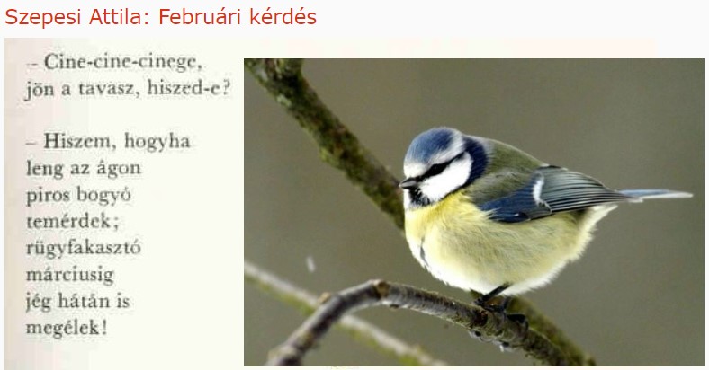 https://margit2.hu/forumba-kepek/167-szepesi-attila-februarikerdes.jpg