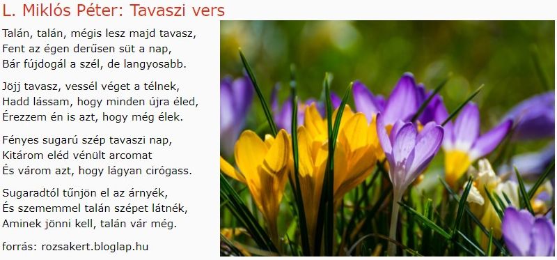 https://margit2.hu/forumba-kepek/169-l.miklos-peter-tavaszivers.jpg