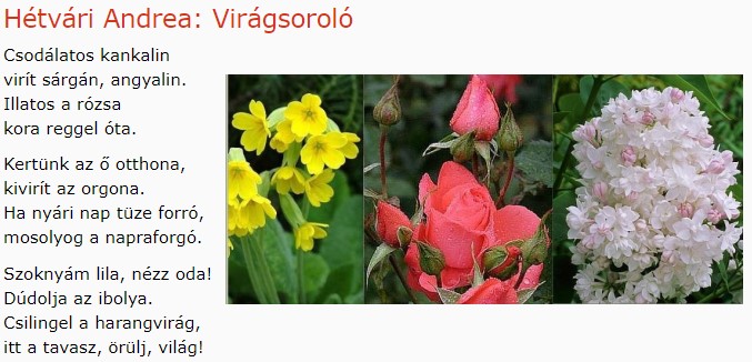 https://margit2.hu/forumba-kepek/175-hetvari-andrea-viragsorolo.jpg