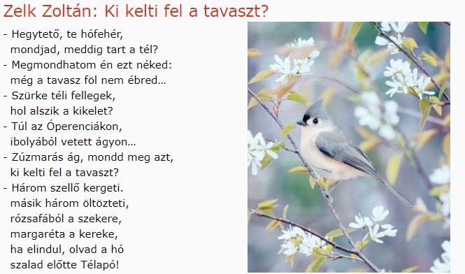 https://margit2.hu/forumba-kepek/176-zelk-zoltan-kikeltifel-atavaszt.jpg