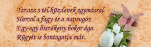 https://margit2.hu/forumba-kepek/177-tavasz-stel.jpg