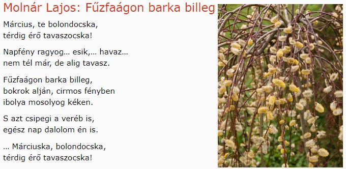 https://margit2.hu/forumba-kepek/179-molnar-lajos-fuzfaagon-barkabilleg.jpg