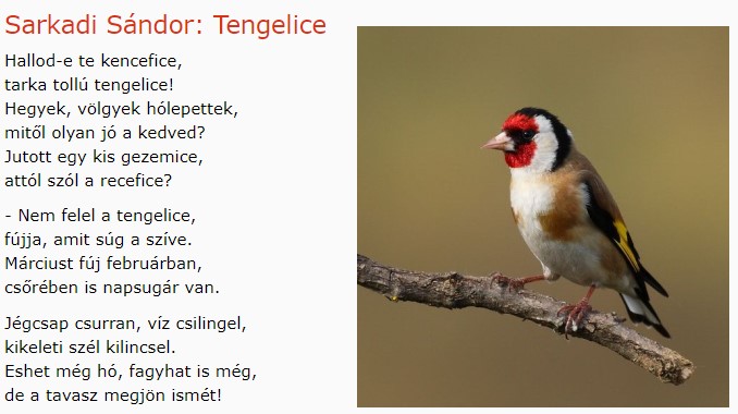 https://margit2.hu/forumba-kepek/181-sarkadi-sandor-tengelice.jpg