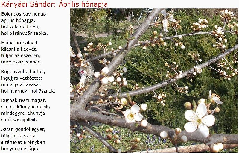 https://margit2.hu/forumba-kepek/182-kanyadi-sandor-aprilis-honapja.jpg