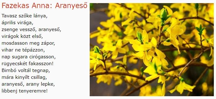 https://margit2.hu/forumba-kepek/186-fazekas-anna-aranyeso.jpg