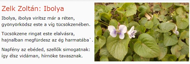 https://margit2.hu/forumba-kepek/190-zelk-zoltan-ibolya.jpg