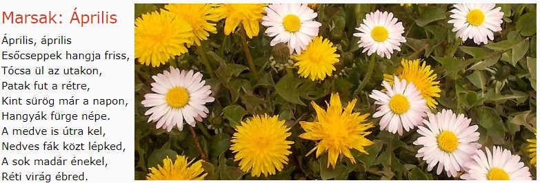 https://margit2.hu/forumba-kepek/195-marsak-aprilis.jpg