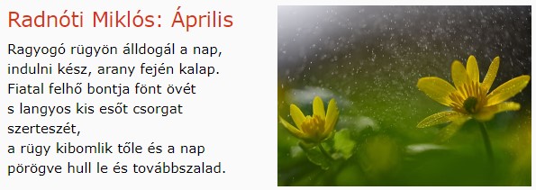 https://margit2.hu/forumba-kepek/199-radnoti-miklos-aprilis.jpg