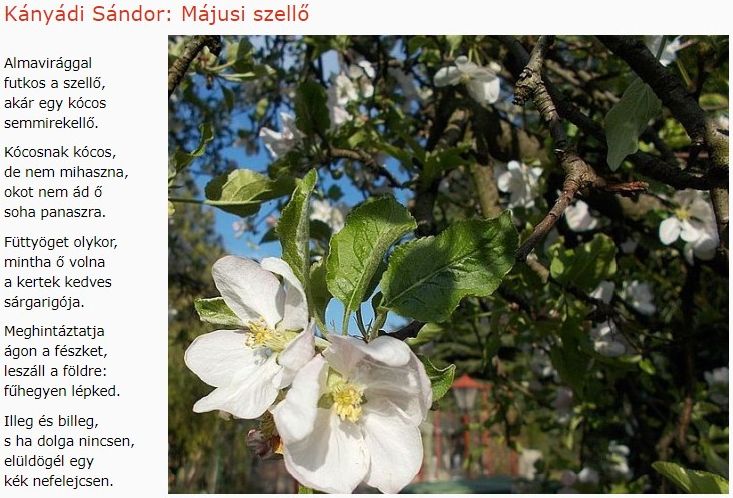 https://margit2.hu/forumba-kepek/200-kanyadi-sandor-majusi-szello.jpg