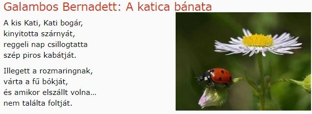 https://margit2.hu/forumba-kepek/205-galambos-bernadett-akaticabanata.jpg