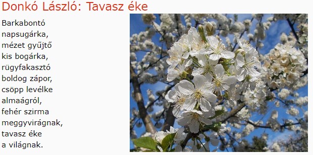 https://margit2.hu/forumba-kepek/207-donko-laszlo-tavaszeke.jpg
