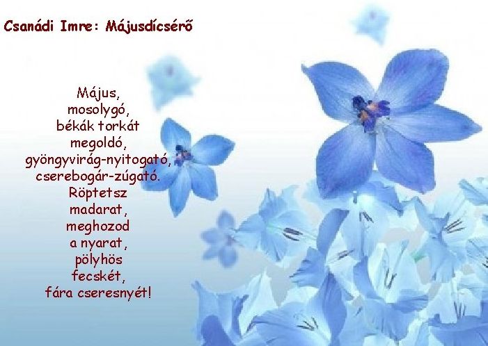 https://margit2.hu/forumba-kepek/209-csanadi-imre-majusdicsero.jpg