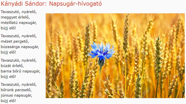 https://margit2.hu/forumba-kepek/216-kanyadi-sandor-napsugar-hivogato.jpg