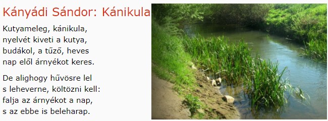 https://margit2.hu/forumba-kepek/217-kanyadi-sandor-kanikula.jpg