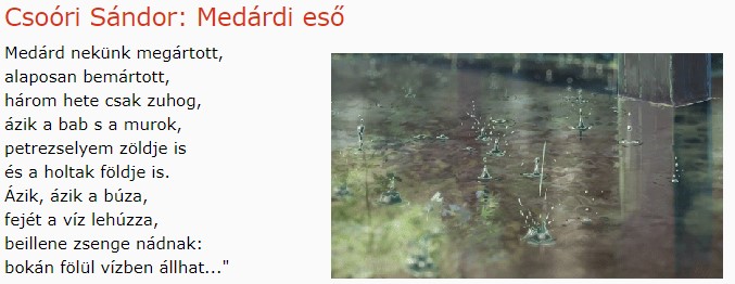 https://margit2.hu/forumba-kepek/218-csori-sandor-medardi-eso.jpg