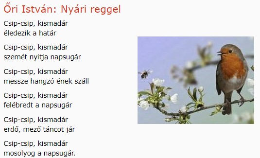 https://margit2.hu/forumba-kepek/222-ori-istvan-nyarireggel.jpg