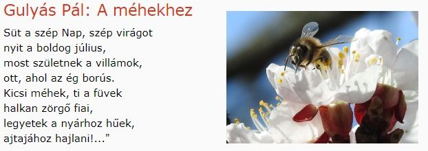 https://margit2.hu/forumba-kepek/230-gulyas-pal-amehekhez.jpg