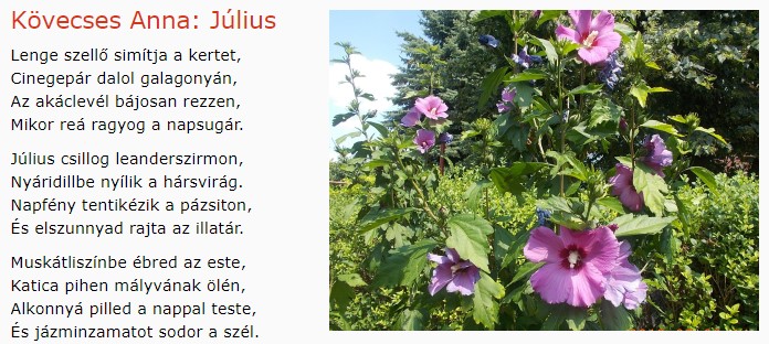 https://margit2.hu/forumba-kepek/237-kovecses-anna-julius.jpg