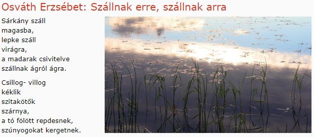 https://margit2.hu/forumba-kepek/248-osvath-erzsebet-szallnakerre-szallnakarra.jpg