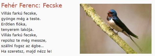 https://margit2.hu/forumba-kepek/266-feher-ferenc-fecske.jpg