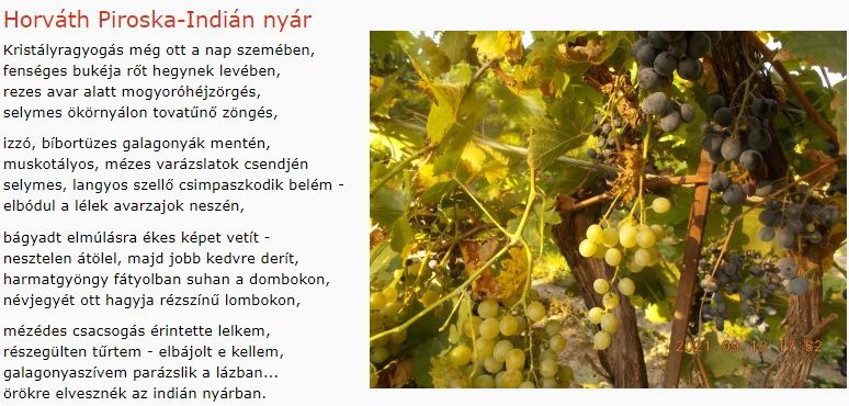 https://margit2.hu/forumba-kepek/269-horvath-piroska-indian-nyar.jpg