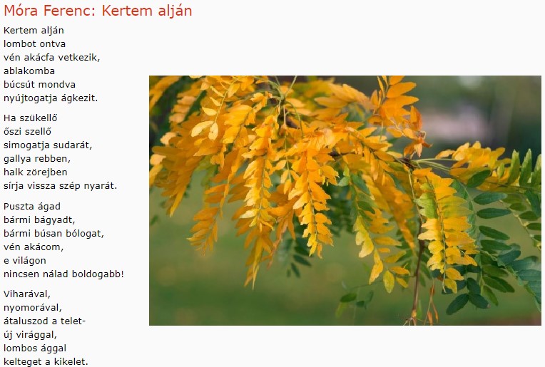 https://margit2.hu/forumba-kepek/270-mora-ferenc-kertem-aljan.jpg