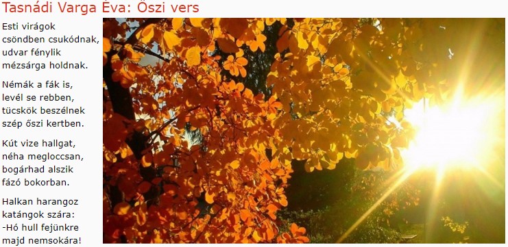 https://margit2.hu/forumba-kepek/271-tasnadi-varga-eva-oszivers.jpg
