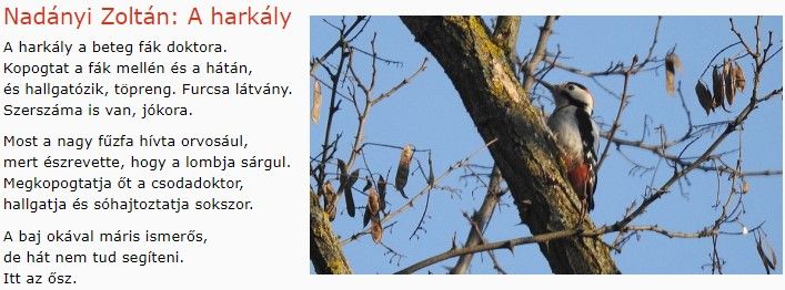 https://margit2.hu/forumba-kepek/282-nadanyi-zoltan-aharkaly.jpg